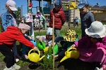 5 июня в России отметили Всемирный день окружающей среды