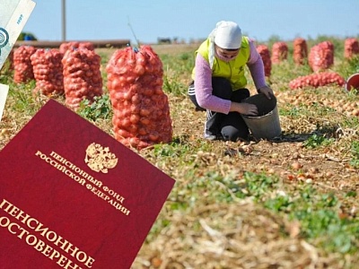 Более 44 тысяч пенсионеров Краснодарского края получают доплату за работу в сельском хозяйстве