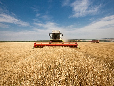 Льготное кредитование в рамках Постановлений Правительства 1528 и 1764 Приоритетная поддержка малых форм хозяйствования от Россельхозбанка