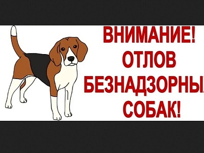 Об отлове собак