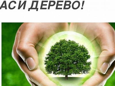 Сдай макулатуру – спаси дерево!