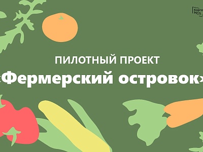 Пилотный проект АО «Корпорация «МСП» «Фермерский островок»
