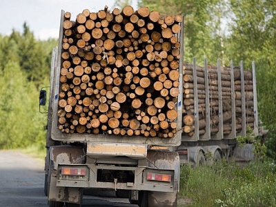 Предоставление займа на реализацию инвестиционных проектов в сфере лесной промышленности