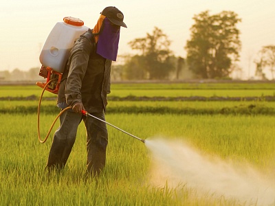 Россельхознадзор напоминает о важности и обязательности предварительного информирования о проведении обработки полей пестицидами и агрохимикатами