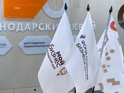 Меры государственной поддержки малого и среднего бизнеса