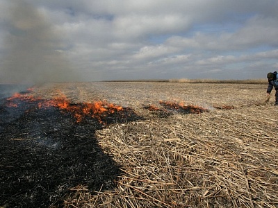 МКУ «Управление по делам ГО и ЧС Белореченского района» обращает внимание сельхозпроизводителей Белореченского района на соблюдение мер пожарной безопасности на землях сельхозназначения