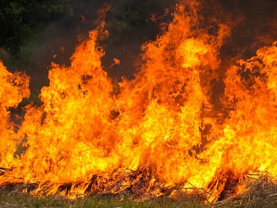 Штормовое предупреждение