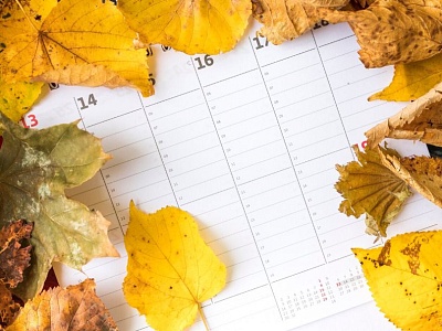 Правительство РФ утвердило график праздничных и выходных дней в 2026 году