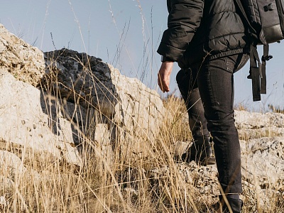 Уведомление о проведении общественных обсуждений предварительных материалов оценки воздействия на окружающую среду по материалам, обосновывающим лимиты и квоты добычи охотничьих ресурсов на территории Краснодарского края в сезоне охоты 2024 – 2025 годов