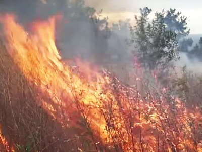 МКУ «Управление по делам ГО и ЧС Белореченского района» обращает внимание сельхозпроизводителей Белореченского района на соблюдение мер пожарной безопасности на землях сельхозназначения