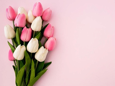 План мероприятий, посвященных Международному женскому дню  в муниципальном образовании Белореченский муниципальный район Краснодарского края  