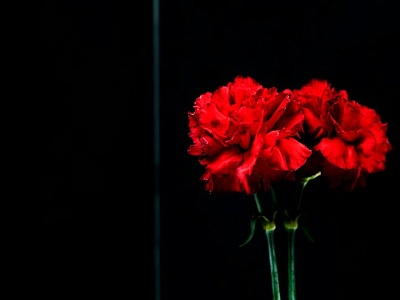 Давайте вспомним