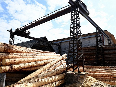 Предоставление займа на реализацию инвестиционных проектов в сфере лесной промышленности