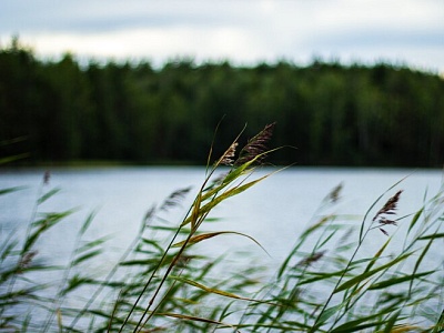 Уважаемые собственники и арендаторы водных объектов, расположенных на территории Белореченского района!