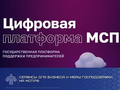Информация о сервисе «Подбор и получение микрофинансирования» на Цифровой платформе МСП