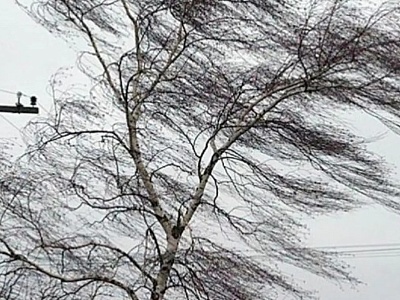 Вниманию жителей и гостей Белореченского района!