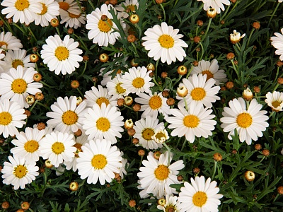 Всероссийская неделя правовой помощи по вопросам защиты интересов семьи