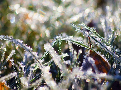 Вниманию жителей и гостей Белореченского района!