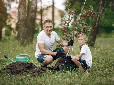 «Марафон зеленых дел»
