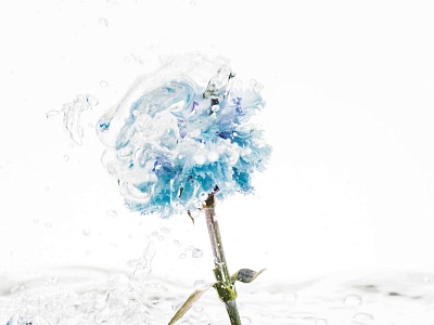 Театрализованное представление «Тайна ледяного цветка»