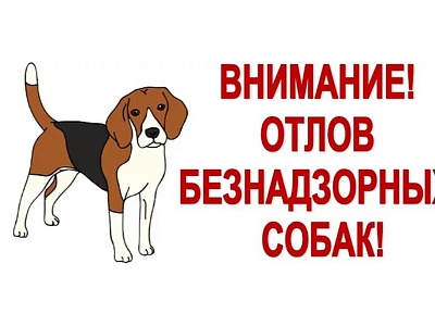 Отлов животных без владельцев на территории города Белореченска