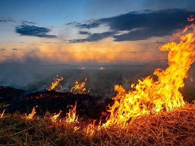 МКУ «Управление по делам ГО и ЧС Белореченского района» обращает внимание сельхозпроизводителей Белореченского района на соблюдение мер пожарной безопасности на землях сельхозназначения