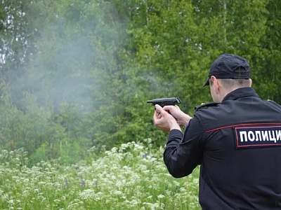 В Белореченском районе юбиляры служб в системе МВД провели конкурс «Лучший по профессии»