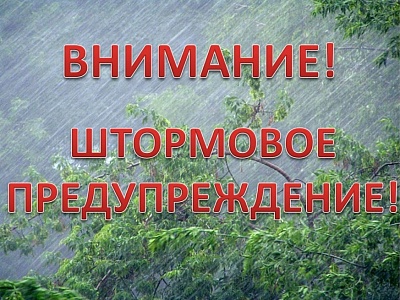 Штормовое донесение