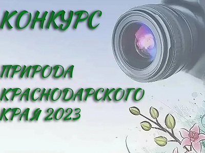 Внимание, конкурс!