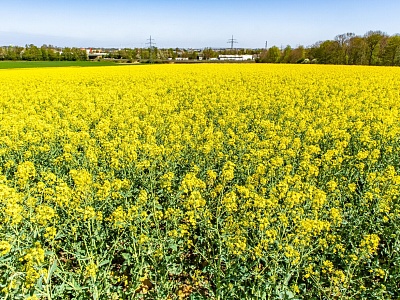 Белореченская транспортная прокуратура разъясняет