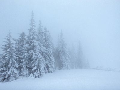 Экстренное предупреждение