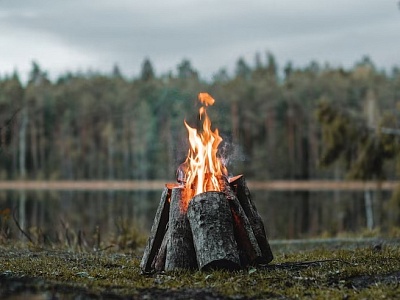 Берегите лес от пожаров!