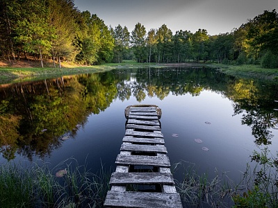 Уважаемые собственники и арендаторы водных объектов, расположенных на территории Белореченского района!